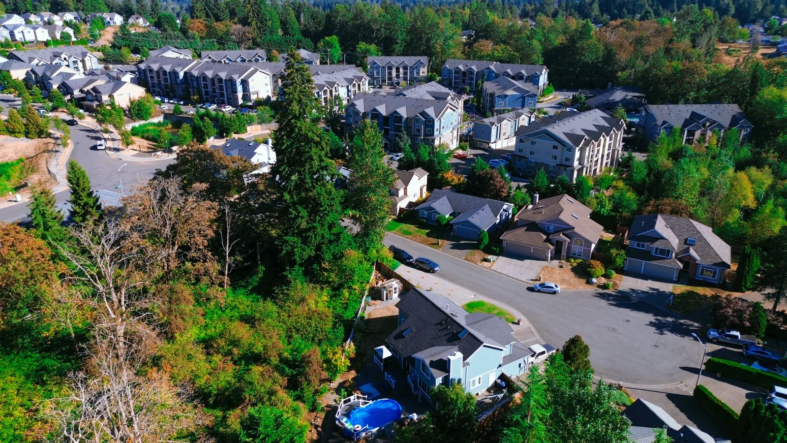 Luxury Real Estate & Architectural